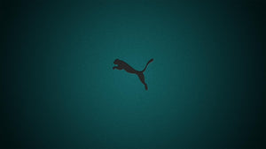 Puma Tunisie – La marque qui allie style, sport et accessibilité