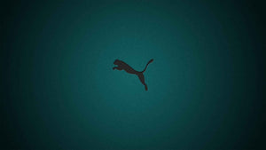 Puma Tunisie – La marque qui allie style, sport et accessibilité