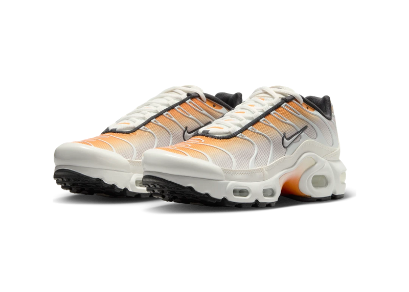 Nike air max plus tn