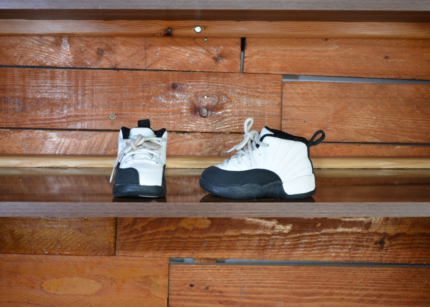 Nike air Jordan 12 retro