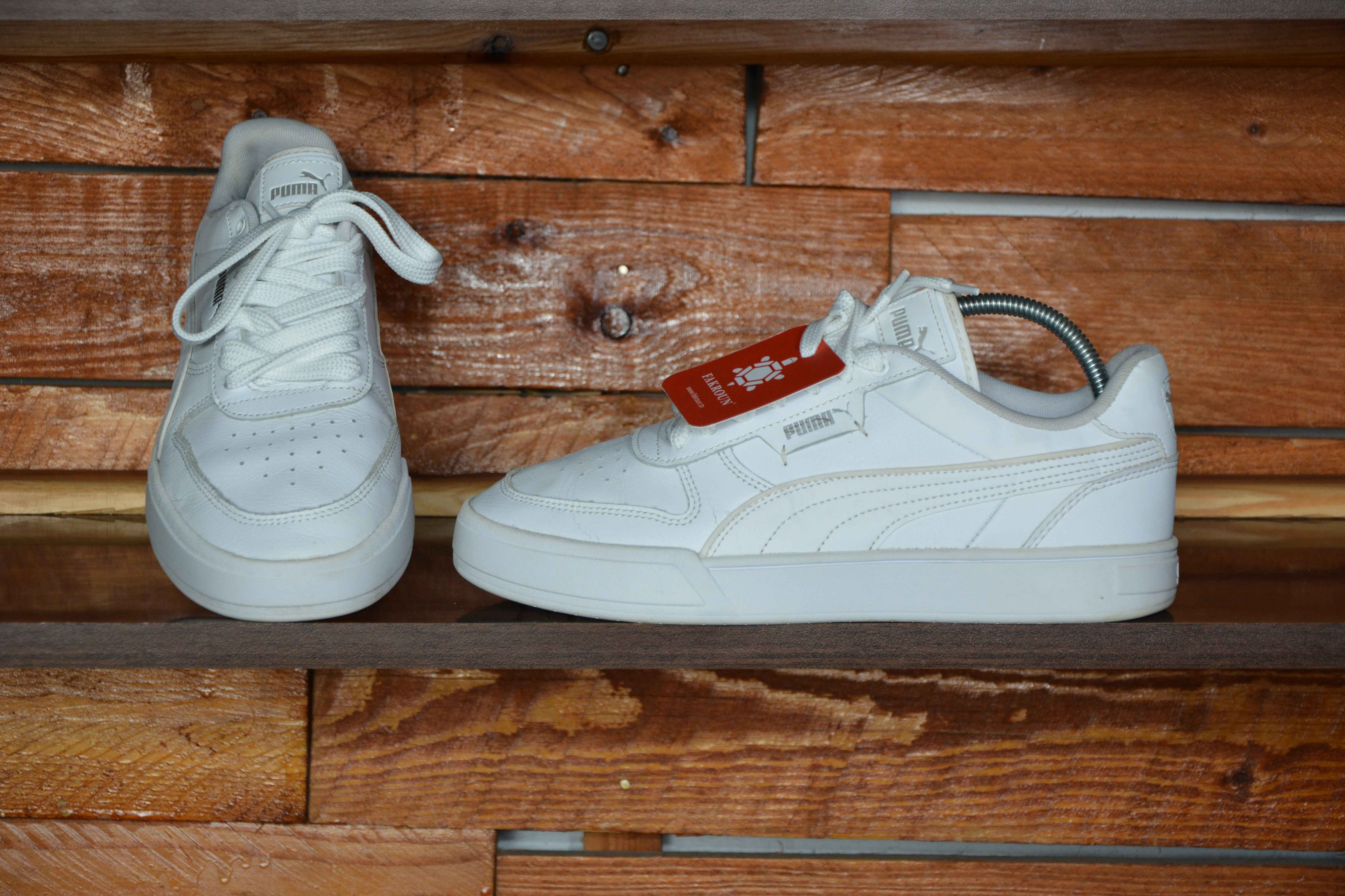 Puma caven