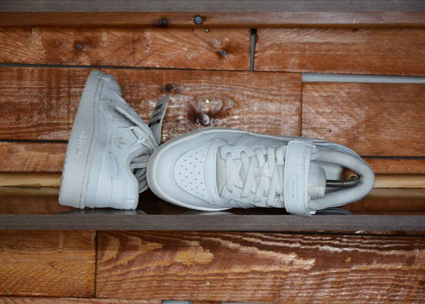 Adidas forum low - FAKROUN