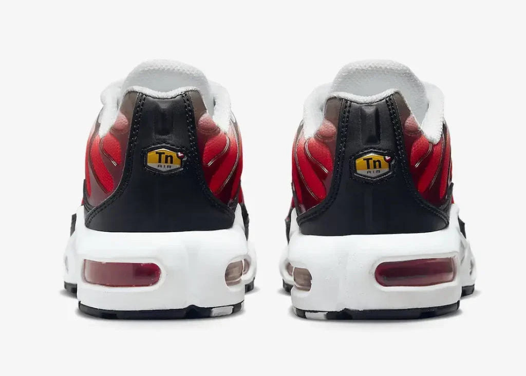 Nike air max plus TN