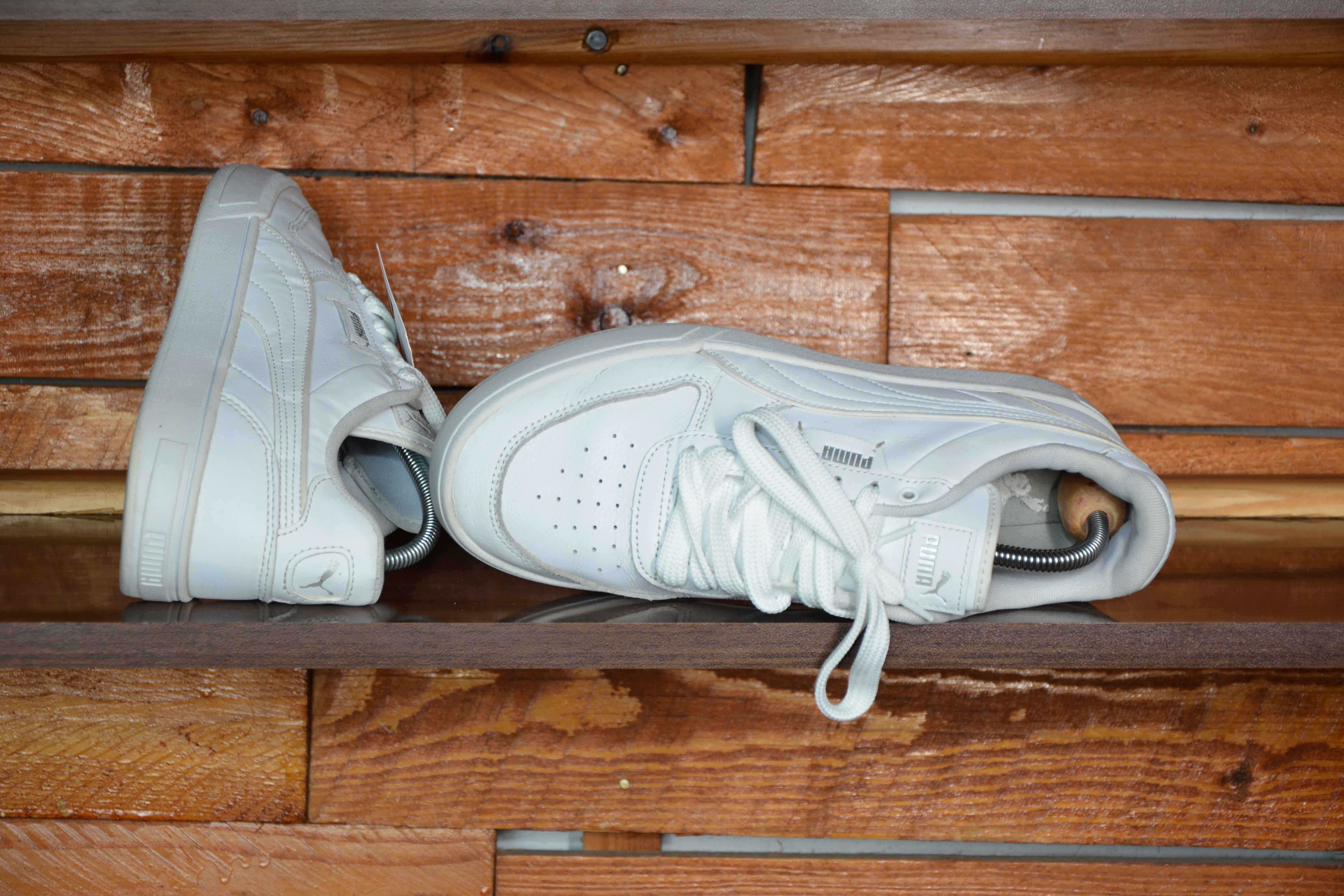 Puma caven