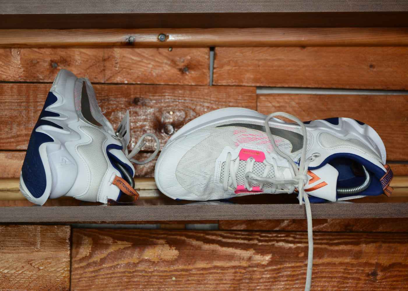 Nike Giannis immortality 2