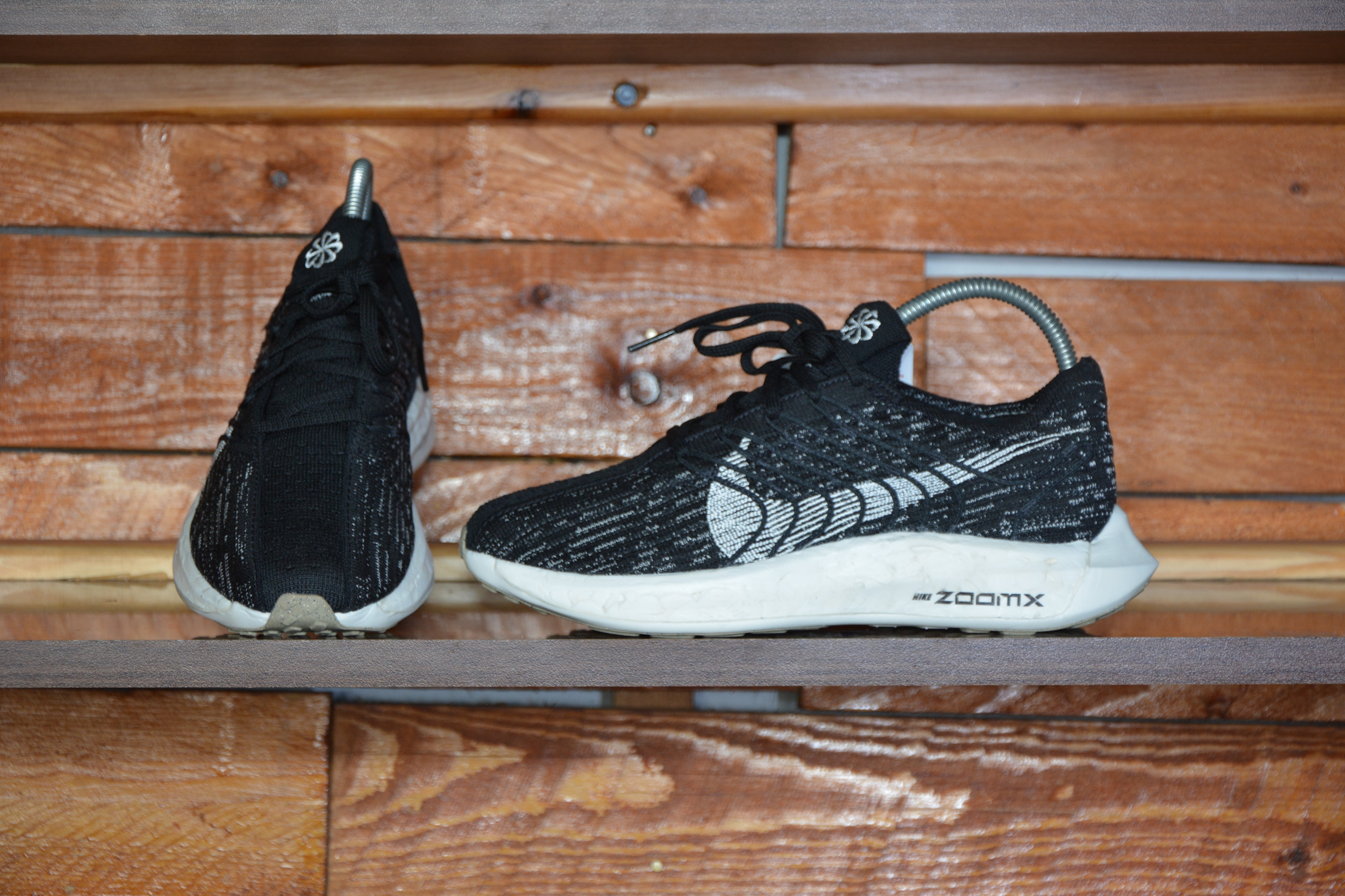 Nike pegasus turbo