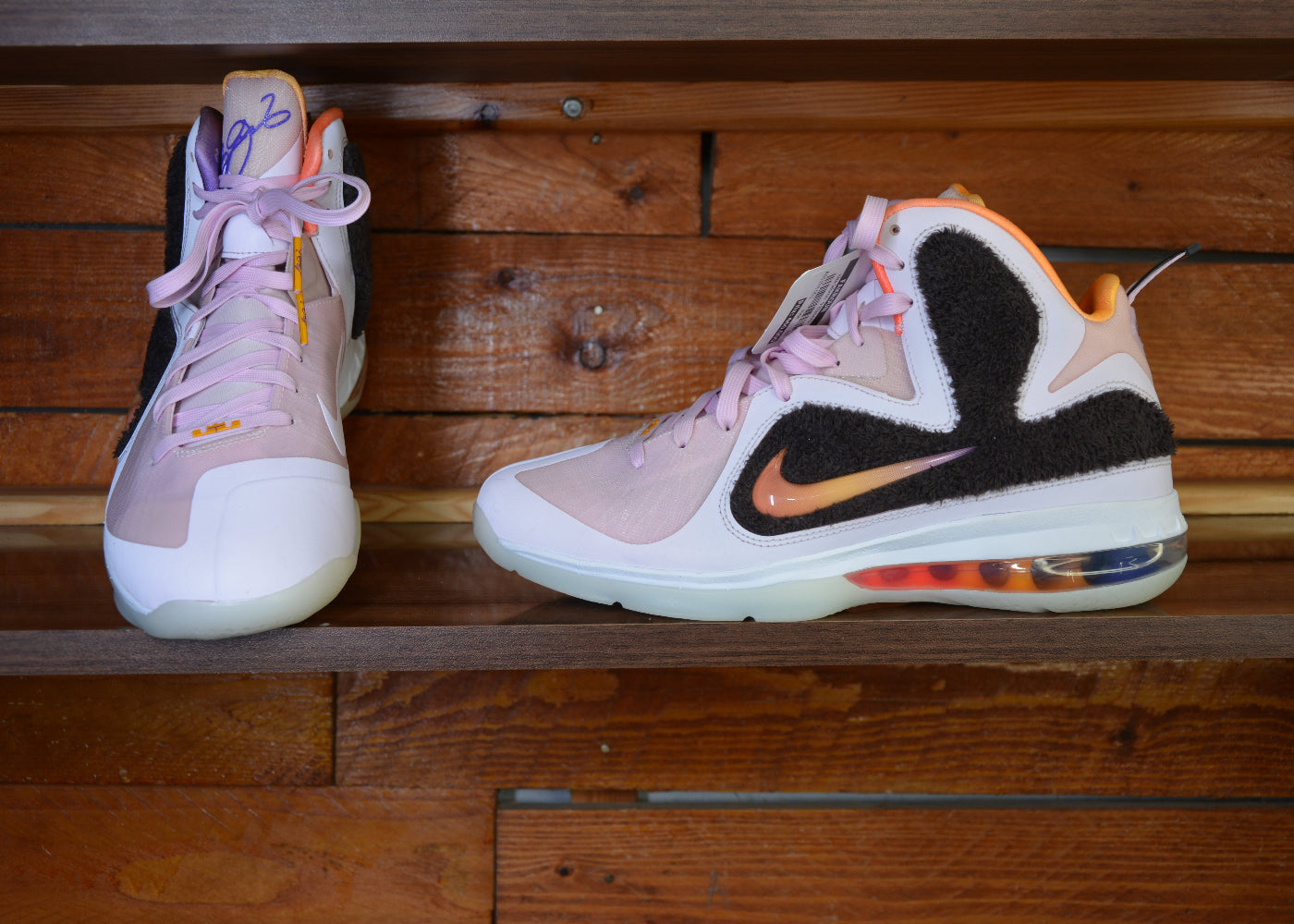 Nike lebron 9 trainers