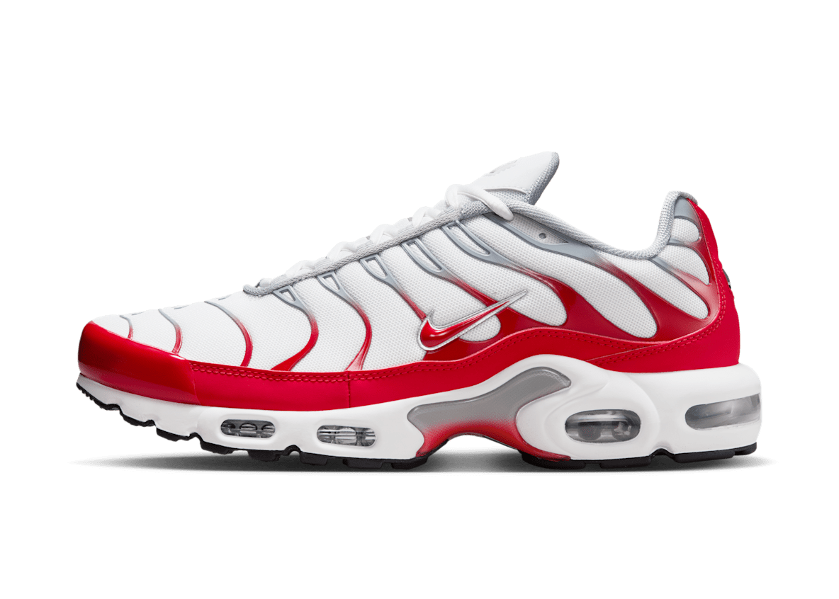 Nike air max plus TN