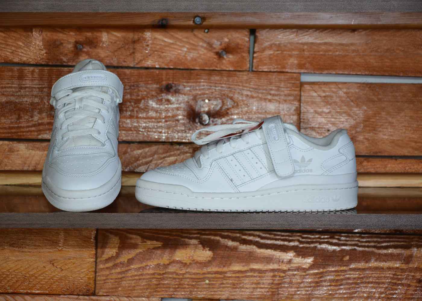 Adidas forum low - FAKROUN