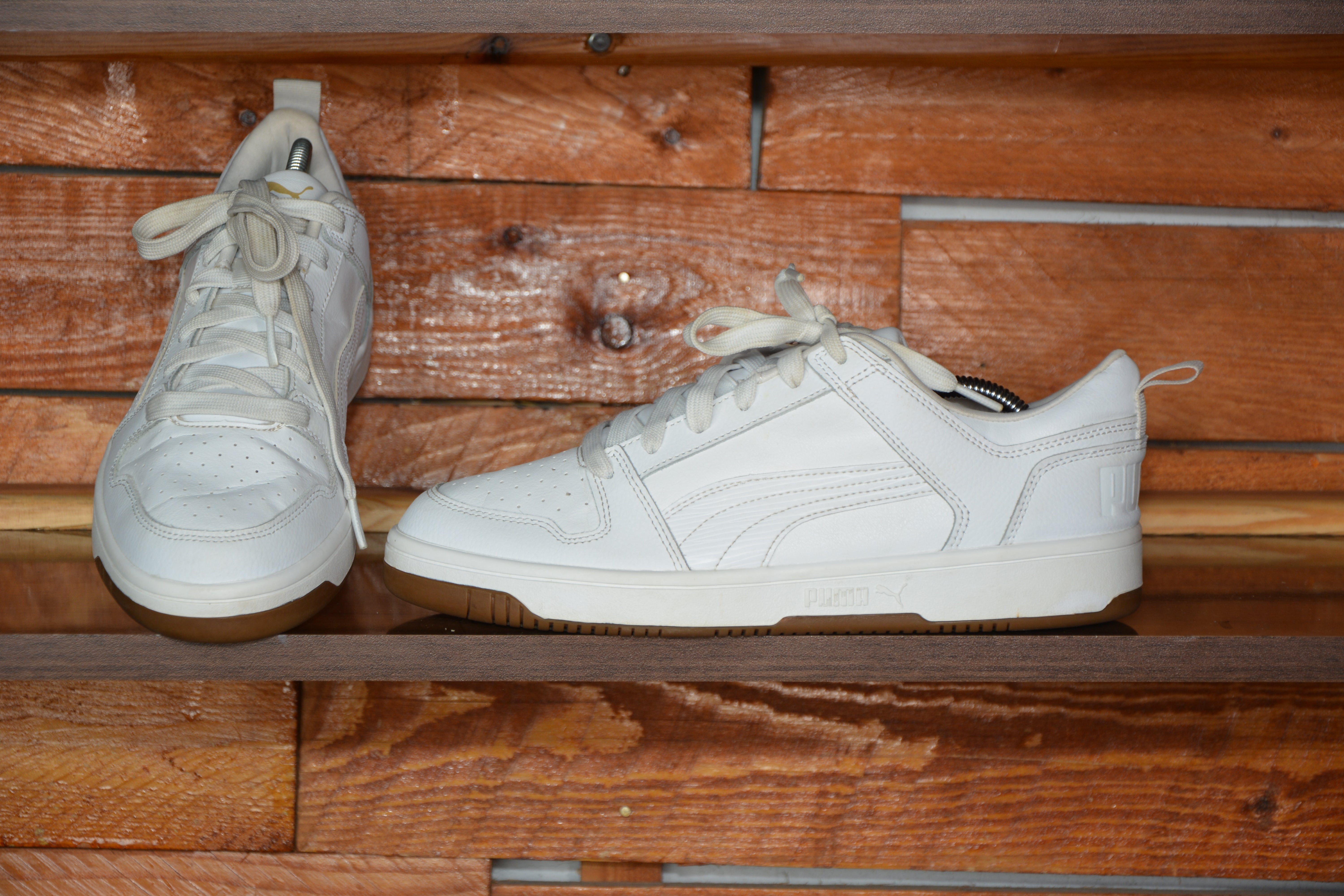 Puma rebound v6 low