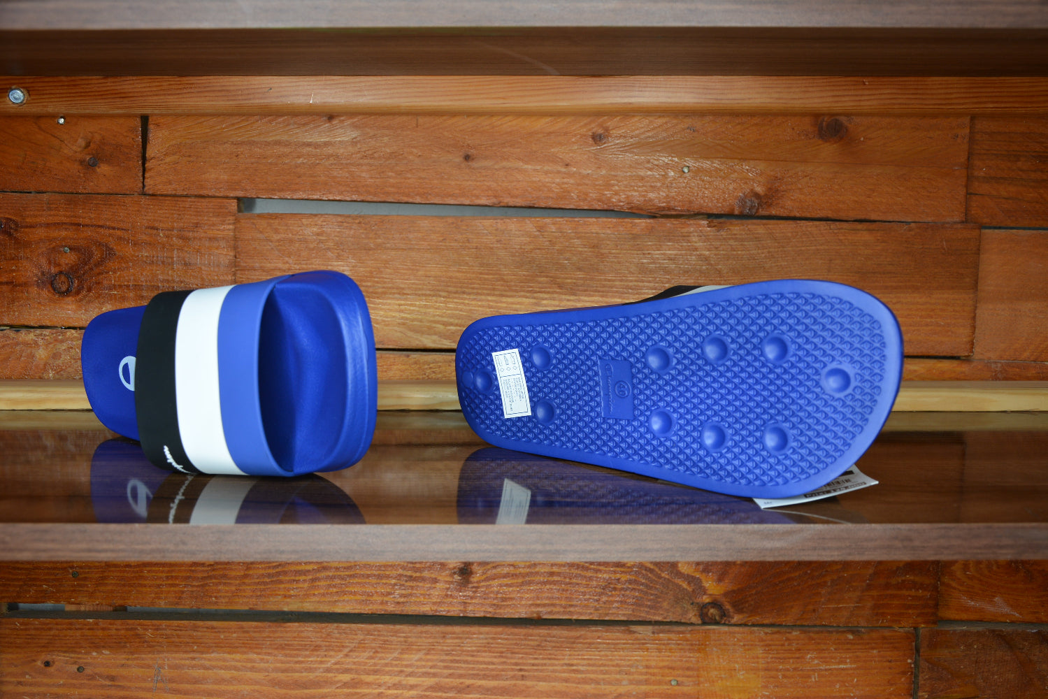 Claquette champion All Américaine