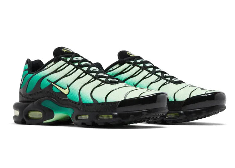 Nike air Max plus vapor