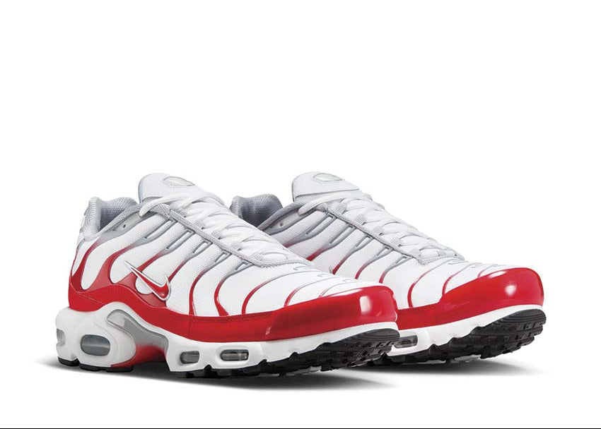 Nike air max plus TN