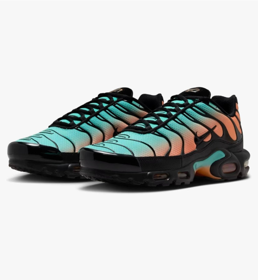 Nike air max plus south beach