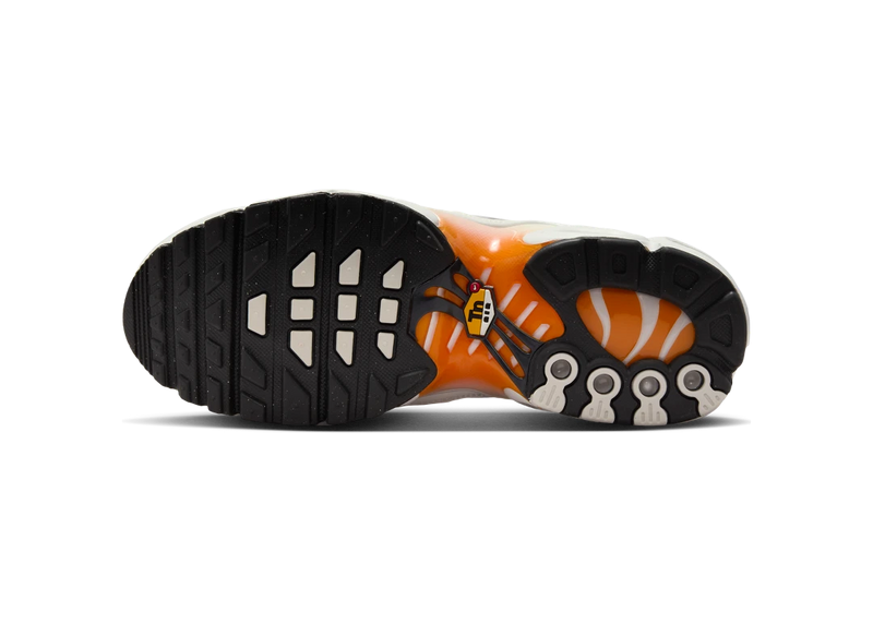Nike air max plus tn