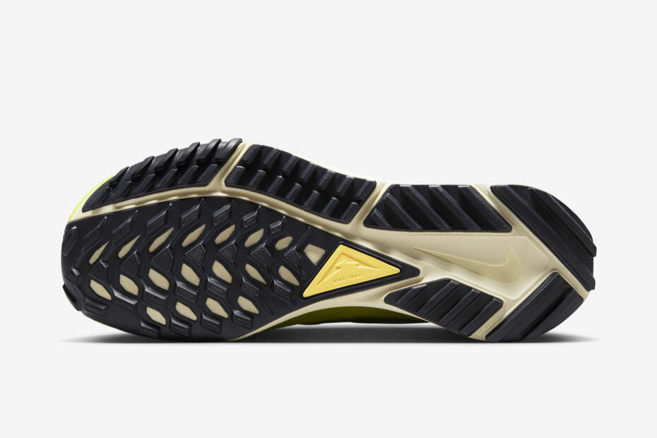 Nike Pegasus Trail 4 GORE-TEX