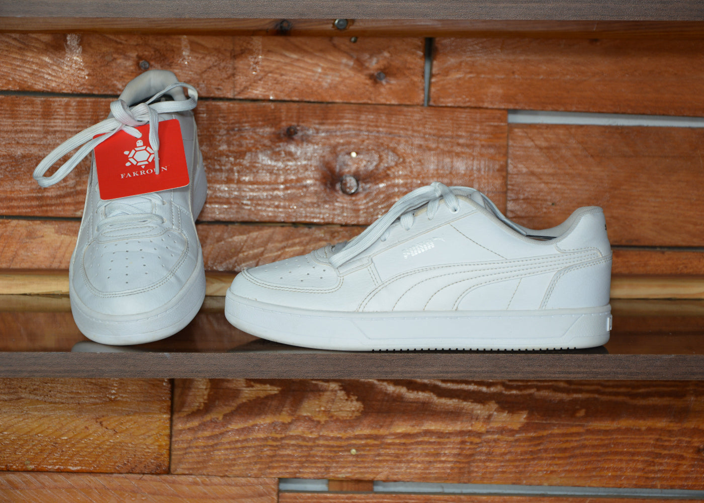 puma caven