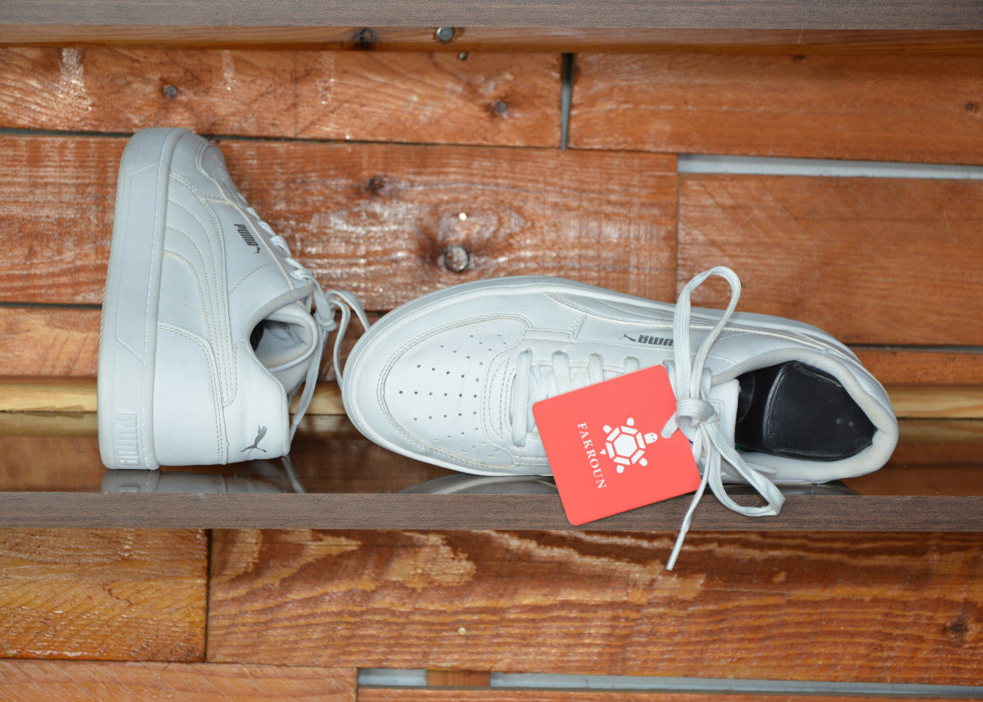 puma caven