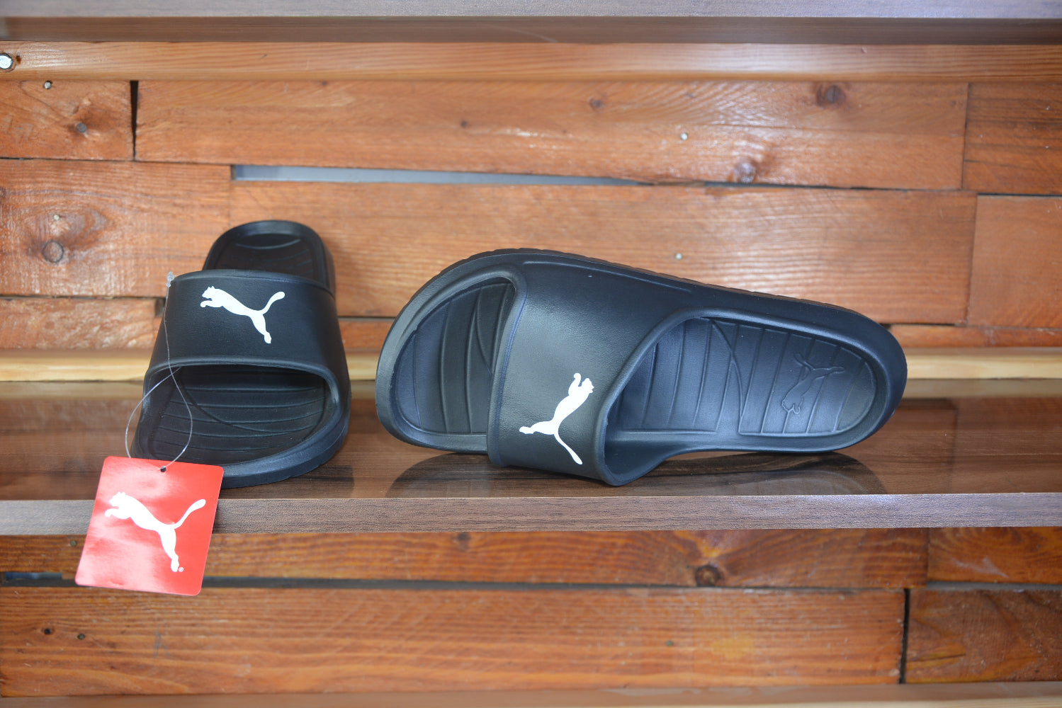 Claquette puma divecat v2