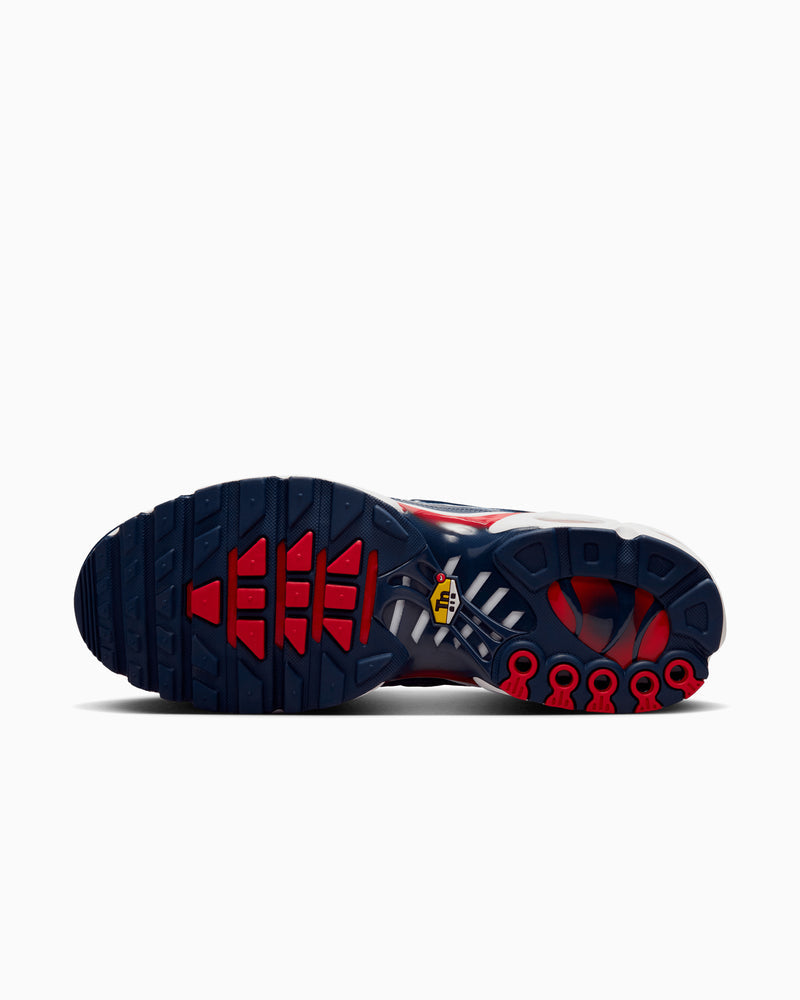 Nike air max plus eclair