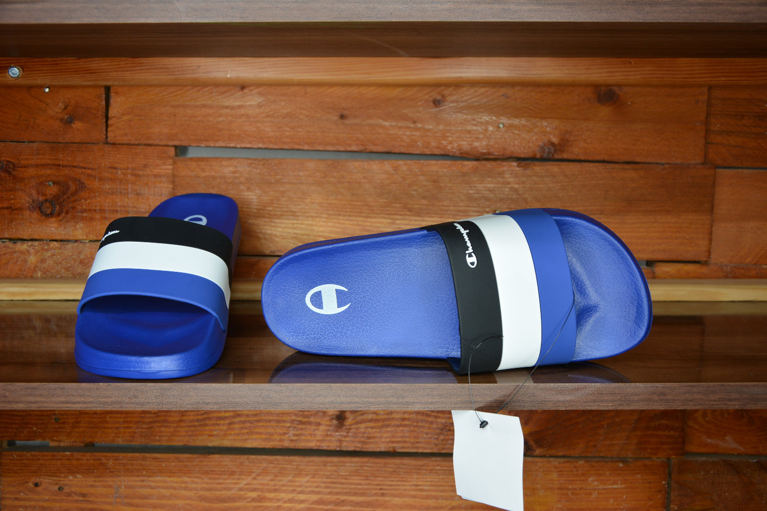 Claquette champion All Américaine