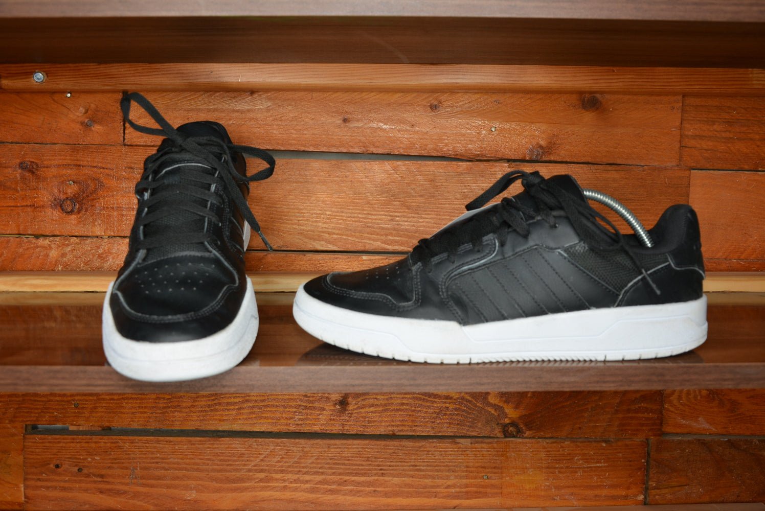 Adidas Entrap cloud - FAKROUN